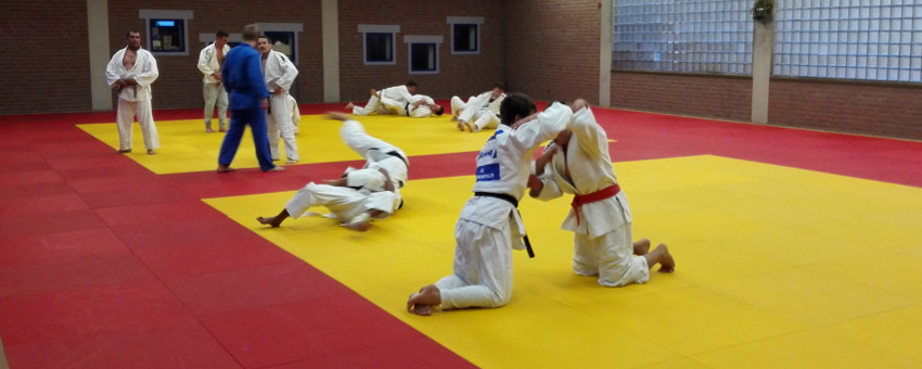 Judo als Freizeitsport und Alltagsausgleich